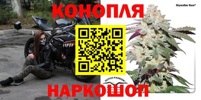 a pvp Краснодар